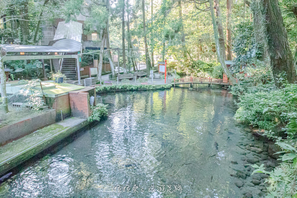 日本鹿兒島指宿市營唐船峽流水麵旁還有著頗為雅緻的造景，一旁有個小神社，水池中還有不少魚兒呢～