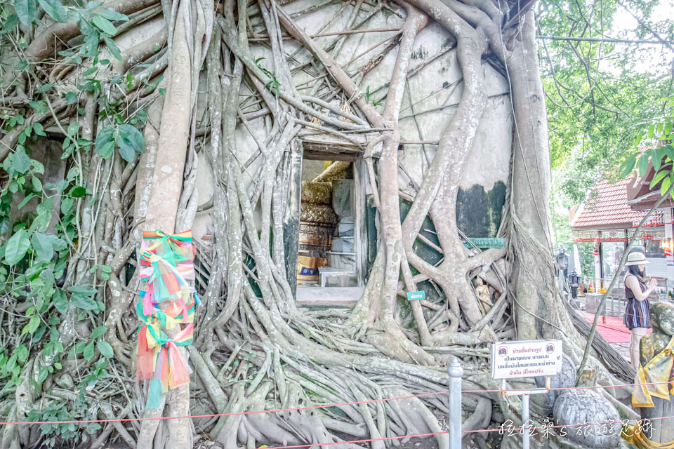 曼谷樹中廟內不允許拍照