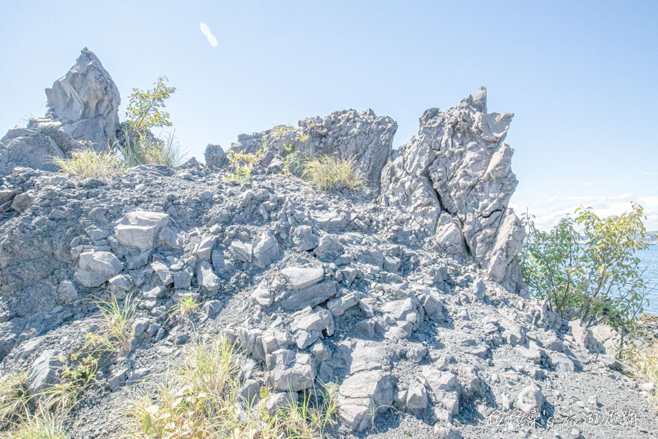 日本櫻島溶岩なぎさ遊歩道沿途就能看到不少形狀奇特的火山岩