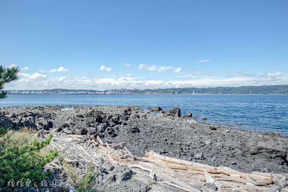 沿著海岸建成的櫻島溶岩なぎさ遊歩道，沿途能伴著海風散步、看海