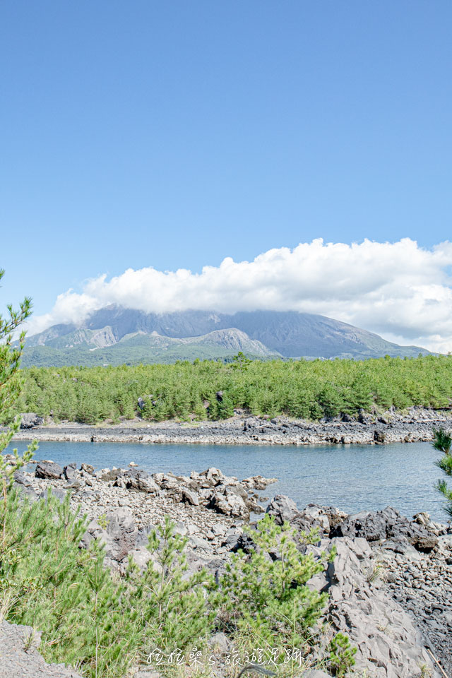 從櫻島溶岩なぎさ遊歩道能清楚地看見櫻島活火山