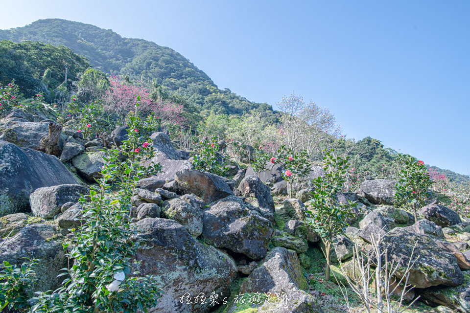楓樹湖石頭花園中的巨石景觀
