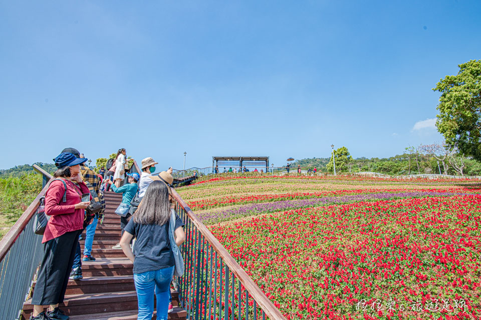 北投社三層崎公園的花海使用多色系的花花草草交錯種植，營造出色彩的多樣美感