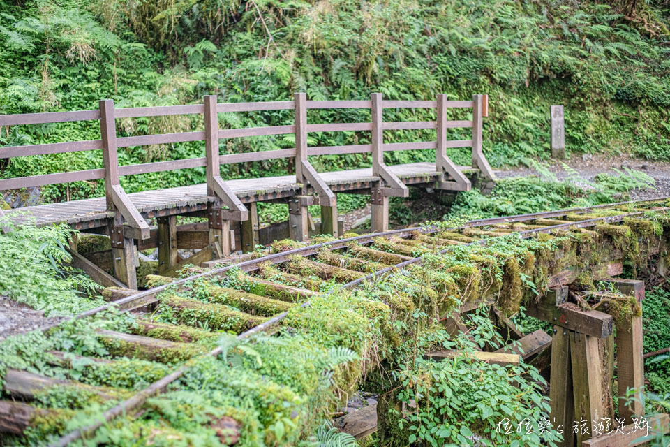 見晴懷古步道最美的風景，滿佈綠色植物的舊鐵道