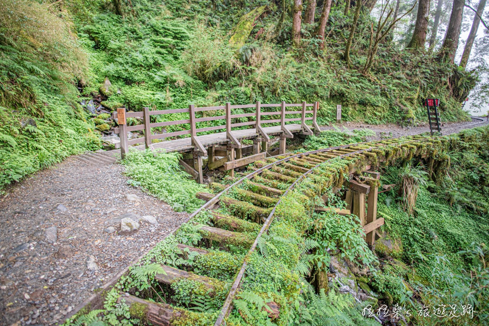 見晴懷古步道最美的風景，滿佈綠色植物的舊鐵道