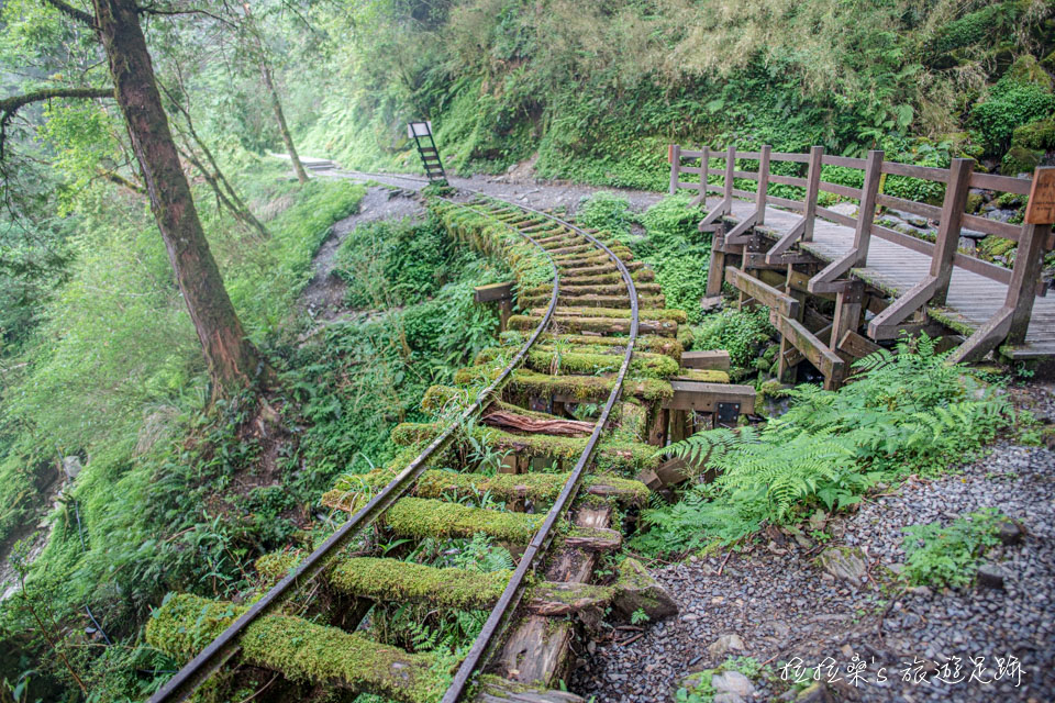 宜蘭太平山見晴懷古步道最美的風景，滿佈綠色植物的舊鐵道