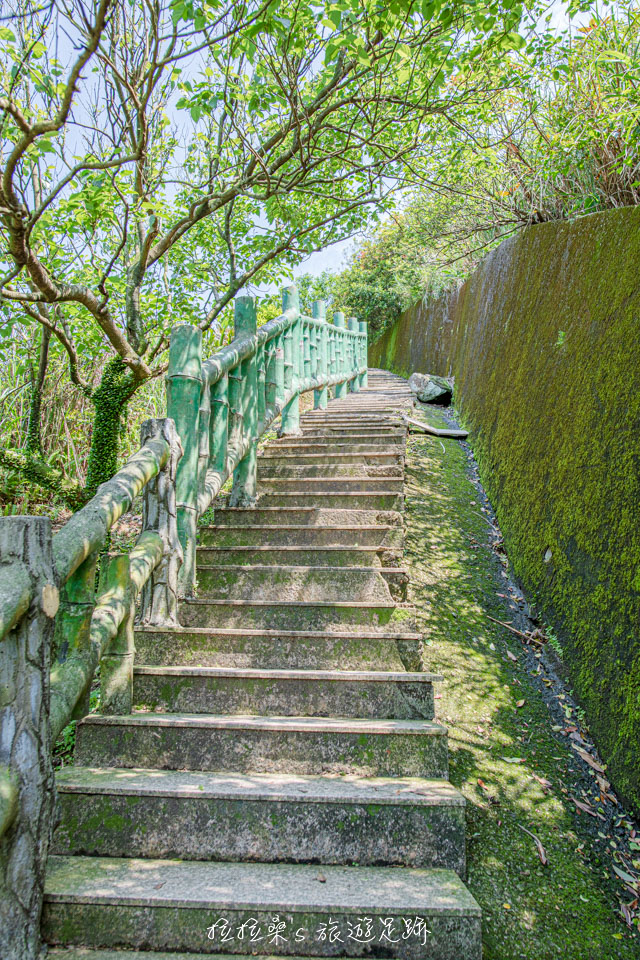 茶壺山步道不難爬，沿途都是好走的石階路