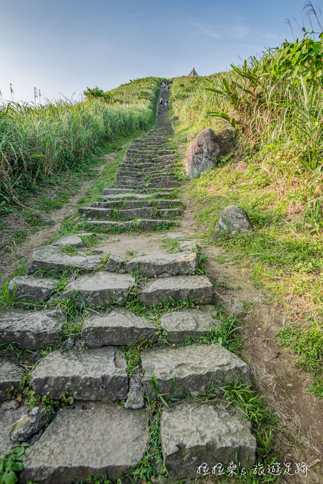基隆山登山步道路線單純，沿著石階走就能到山頂