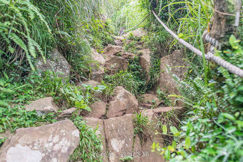 通往大屯山西峰的步道很有挑戰性，須一路拉繩陡上