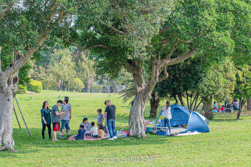 台北花博公園新生園區的樹蔭下超適合帶孩子們來野餐