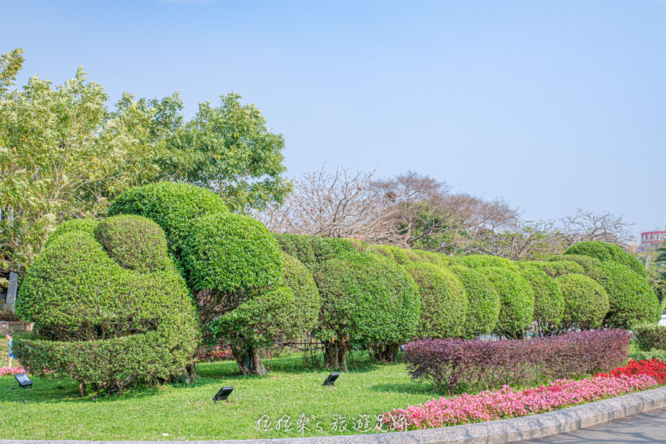 台北花博公園新生園區還有各種有趣的植物造景