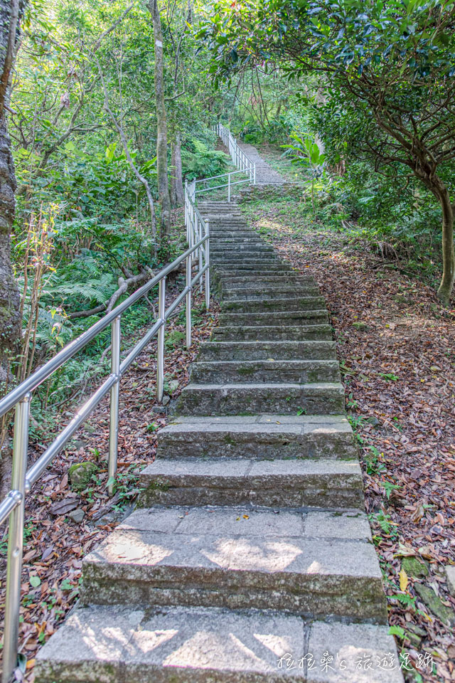 大尖山步道路況優質，階梯平整好走